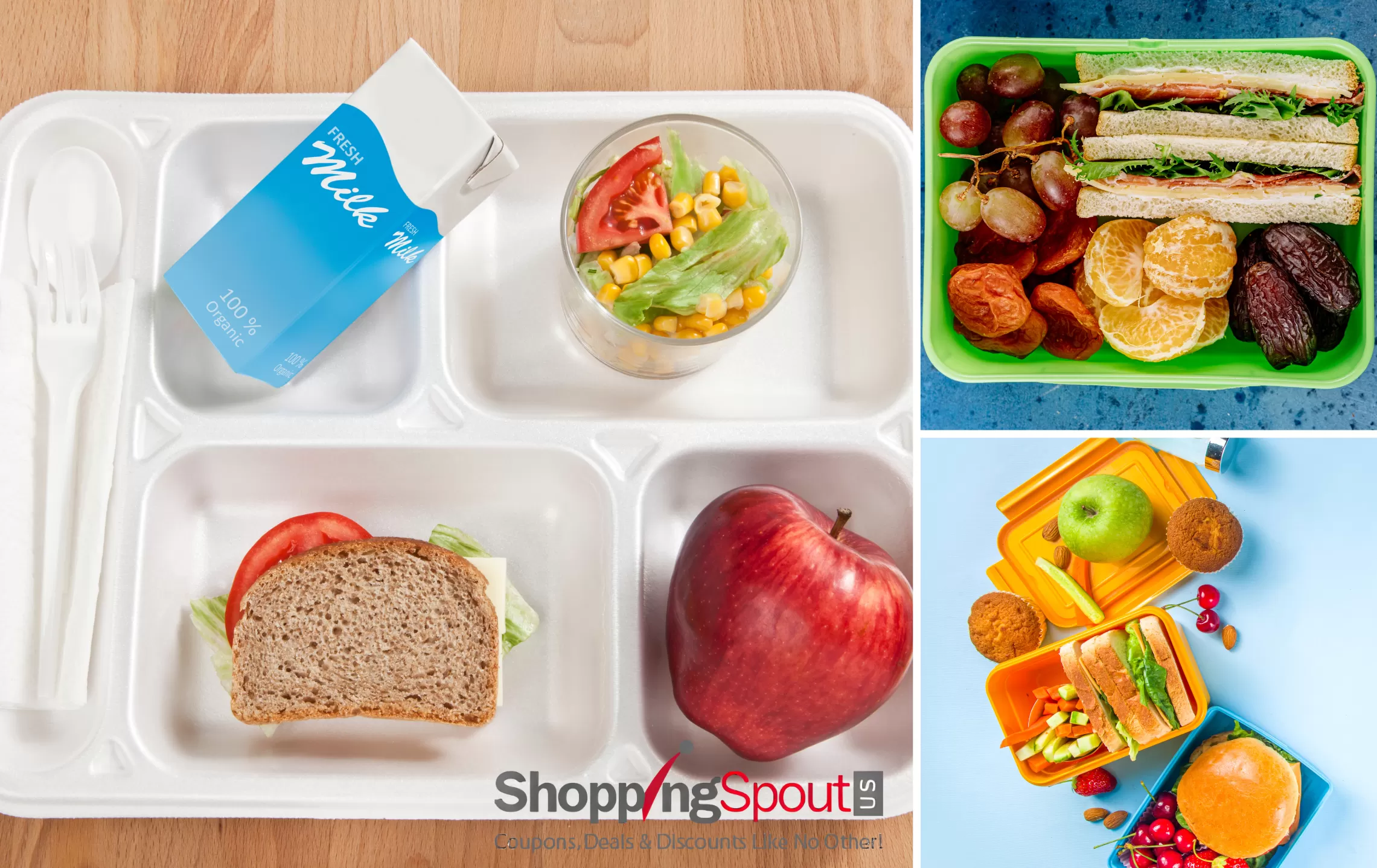 Fun School Lunch Ideas for Kids